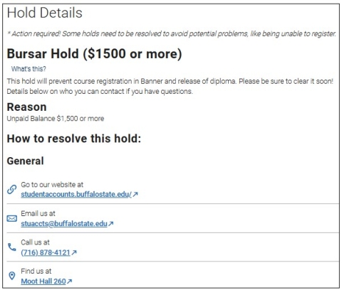 Screenshot of the Hold Details screen which provides the hold details, and outlines clear action steps and resources to resolve the hold.