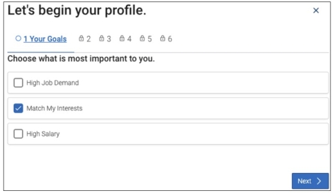 Screenshot of Let's Begin your Profile screen. Choose what is most important to you. Then select the Next button to proceed.