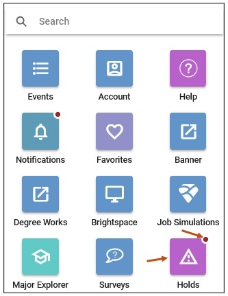 Screenshot of mobile Holds Center icon. When you select the Holds icon, you can select the View Details arrow to view additional details on how you can resolve your hold. A red dot in the upper right corner of the Holds icon indicates that you have a hold on your account.