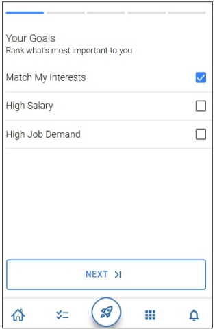 Screenshot of mobile. Your Goals. Choose what is most important to you. Then select the Next button to proceed.