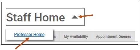 Screenshot of your Staff Home. Select the arrow to the right of Staff Home and then select Professor Home.