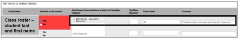 Screenshot of each column completed on your Student Feedback Screen.