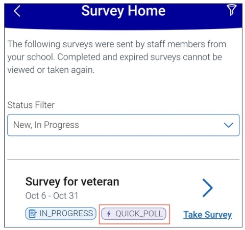 Screenshot of Survey Home screen. Students can filter the list of surveys to see any new surveys, as well as ones that are in progress, expired, or completed. By default, the list shows new and in progress surveys to the student.