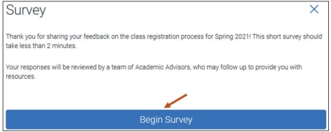 Screenshot of Survey introductory text and the Begin Survey button.