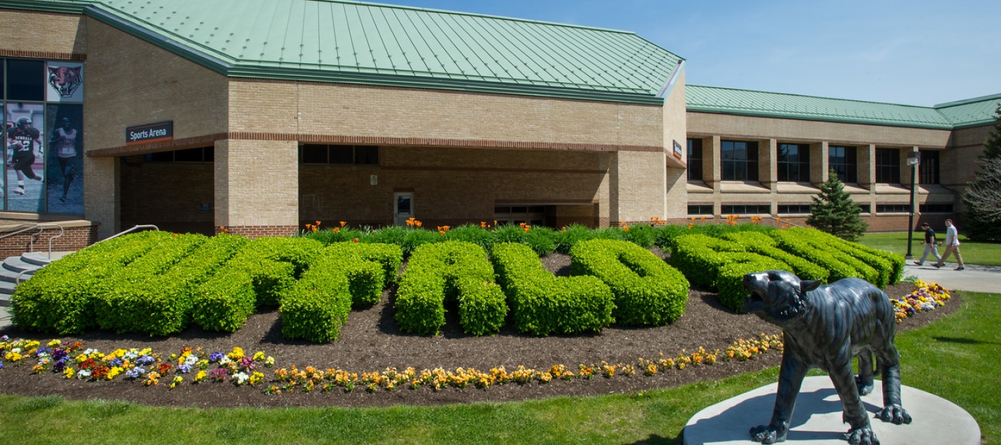 Picture of Sports Arena